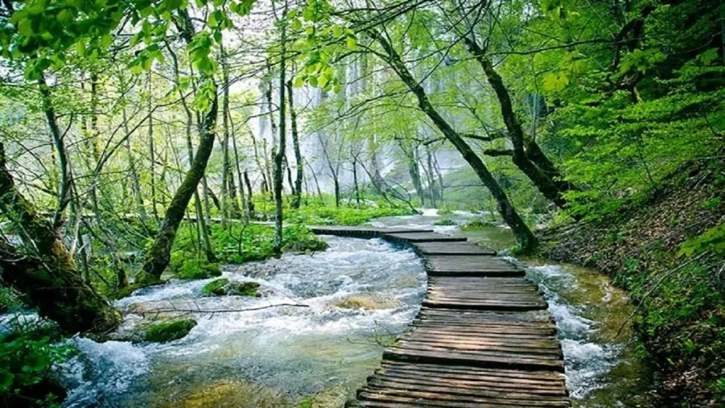 سفر به شمال ایران